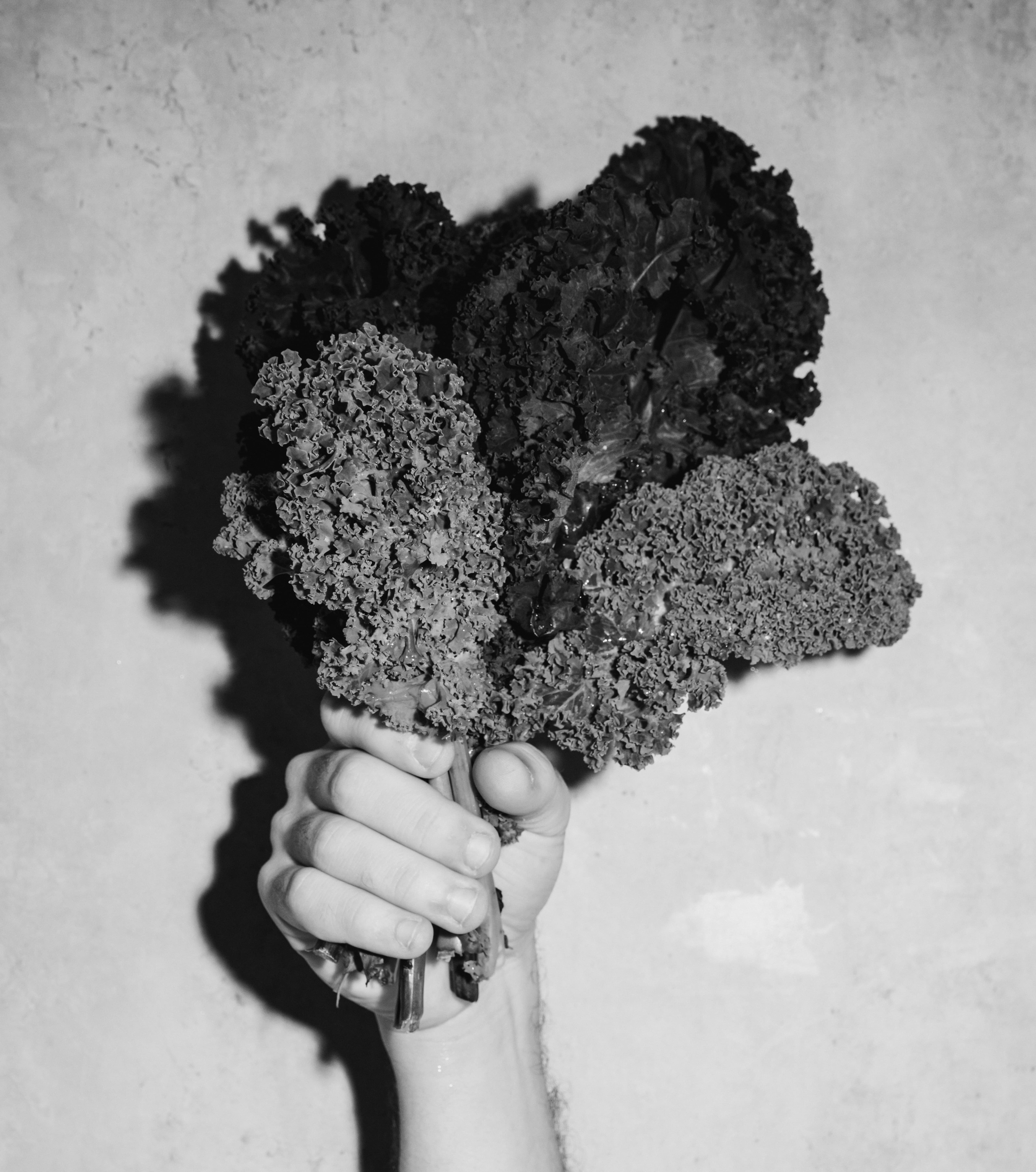 Grayscale close‑up of a hand gripping a bunch of curly kale leaves against a plain wall